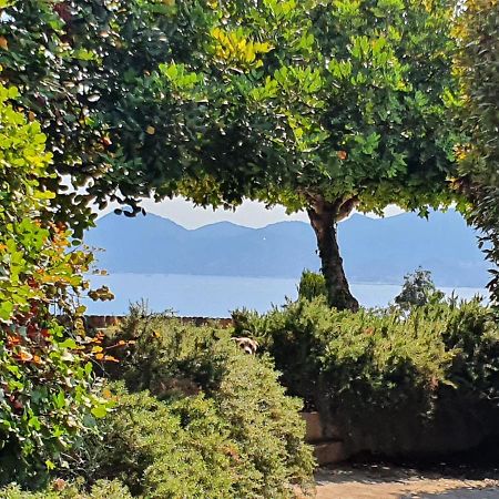 Haus mit Garten über der Bucht von Cannes Vallauris Exterior foto